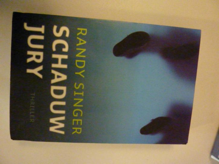 Randy Singer - Schaduwjury, Boeken, Overige Boeken, Zo goed als nieuw, Verzenden