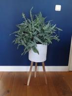 decoratieve bloempot op pootjes / 15 euro, Tuin en Terras, Bloempotten, Ophalen, Overige materialen, Rond, Zo goed als nieuw