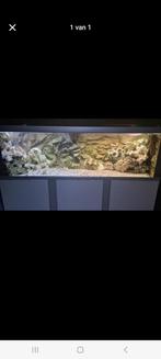 Akvastabil Fusion Aquarium, Dieren en Toebehoren, Vissen | Aquaria en Toebehoren, Ophalen