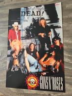 Poster van de band Guns N' Roses !!, Ophalen of Verzenden, Zo goed als nieuw, Poster, Artwork of Schilderij