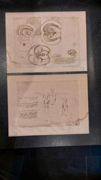 Leonardo da Vinci Anatomische Studies - Reproducties, Antiek en Kunst, Ophalen of Verzenden