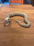 3D Geprinte Skelet Slang - 88cm, Ophalen of Verzenden, Nieuw, Knutselwerk