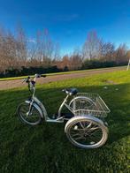 Gebruikte driewieler voor volwassenen, Ophalen of Verzenden, Gebruikt, Scenic