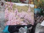 Grote canvasdoeken super mooie heeft altijd binnen gestaan, Tuin en Terras, Ophalen of Verzenden, Zo goed als nieuw, Kunststof