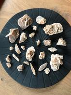 Woestijnroos, Verzamelen, Mineralen en Fossielen, Ophalen of Verzenden