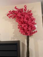 Bloesemboom, Ophalen, Nieuw