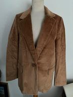 Nieuw Mexx Okergeel Corduroy Colbert Maat 40/42, Ophalen, Geel, Maat 42/44 (L), Nieuw