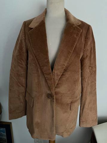Nieuw Mexx Okergeel Corduroy Colbert Maat 40/42 beschikbaar voor biedingen