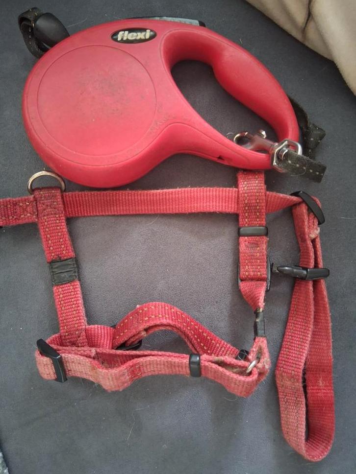 Gratis 2 honden tuigjes met rol riemen, Dieren en Toebehoren, Honden-accessoires, Nieuw, Ophalen