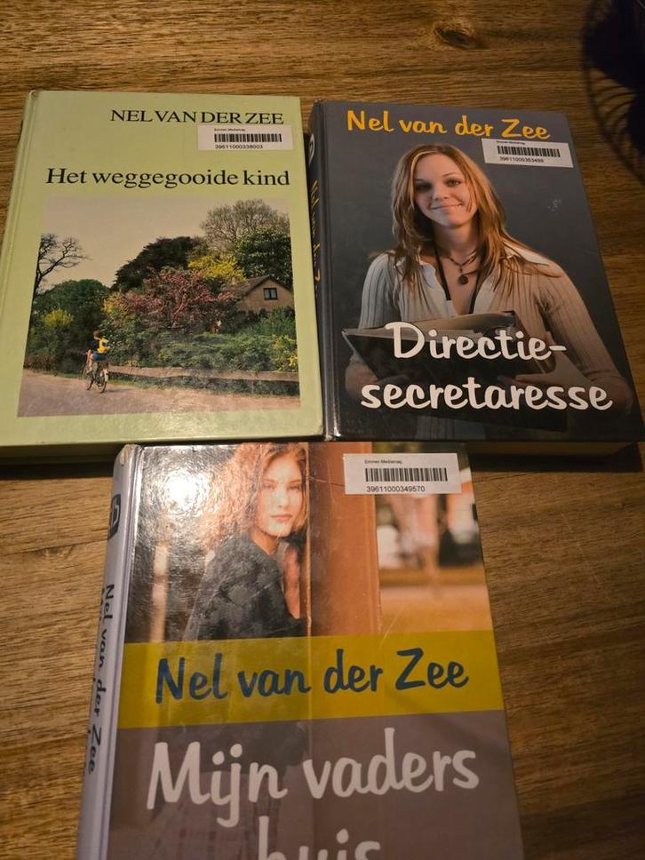 Drie Groot Letterboeken van Nel van der Zee, Boeken, Streekboeken en Streekromans, Gelezen, Noord-Holland, Ophalen of Verzenden