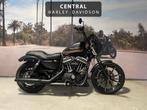 Harley-Davidson Iron 883, Motoren, Motoren | Harley-Davidson, Bedrijf, 883 cc, Meer dan 35 kW, Overig