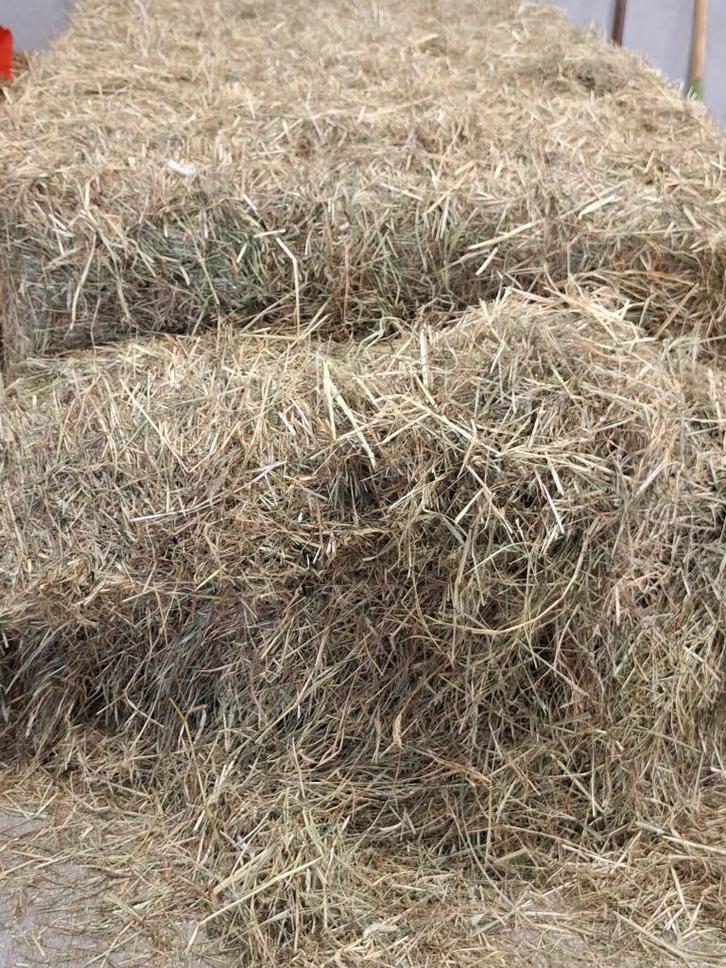 te koop super mooi hooi in grote balen, Zakelijke goederen, Agrarisch | Veevoer, Ophalen