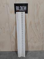 Gipslijsten plafondlijst., Ophalen, Gebruikt, Overige typen