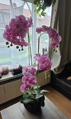 kunst planten orchideeën, Huis en Inrichting, Kamerplanten, Ophalen, Overige soorten, Minder dan 100 cm
