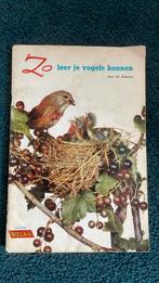 Zo leer je vogels kennen. Ko Zwerus. Rizla, Vogels, Ophalen of Verzenden, Zo goed als nieuw