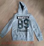 Trui hoodie grijs maat 146 merk coolcat, Trui of Vest, Coolcat, Ophalen of Verzenden, Zo goed als nieuw