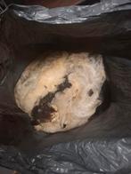 Zak schapenwol, Ophalen of Verzenden, Spinwol