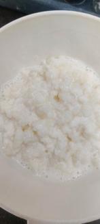 melk kefir plantje, Ophalen of Verzenden