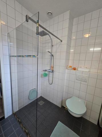 Douche-wand Totale afm.98x200 cm, Muurprofiel & stabil.stang beschikbaar voor biedingen