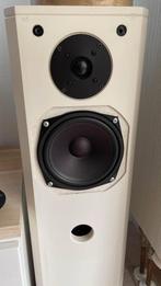 Driade 7 zuilen in zeer goede staat met nieuwe tweeters!, Gebruikt, 60 tot 120 watt, Front, Rear of Stereo speakers, Ophalen