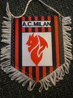 ac milan vaantje, Tickets en Kaartjes, Eén persoon, Februari