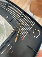Eieren van Wandeledne tak Sungaya inexpectata, Dieren en Toebehoren, Insecten en Spinnen, Wandelende tak