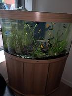 Juwel 300L aquarium incl attributen ( omschrijving), Dieren en Toebehoren, Vissen | Aquaria en Toebehoren, Ophalen, Zo goed als nieuw