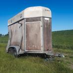 Te koop veekar zonder kenteken, Dieren en Toebehoren, Mannelijk, Schaap