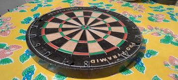 Dartboard Pro-Pyramid beschikbaar voor biedingen