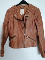 Esprit leren biker jas bruin/cognac kleur maat 38, Bruin, Nieuw, Esprit, Ophalen