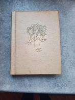 Friese Volksprookjes - Geïllustreerd door Johan Dijkstra, Boeken, Ophalen of Verzenden, Gelezen, Dr. J.P. Wiersma