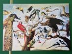 "Vogelconcert" Frans Snyders ijsvogels, Verzamelen, Ansichtkaarten | Themakaarten, Ongelopen, Ophalen of Verzenden, Natuur
