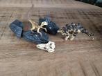 Schleich dino's in rotslandschap, Ophalen of Verzenden, Zo goed als nieuw