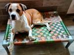 Hondenmand hondenbed hondenstretcher hondenkussen Bench dog, Nieuw, Overige, Ophalen of Verzenden