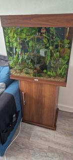 Juwel lido 120 leeg incl extern filter lamp verwarming, Dieren en Toebehoren, Ophalen, Gebruikt, Leeg aquarium