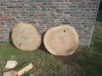 Mooie boomschijven. Droog, Doe-het-zelf en Verbouw, Hout en Planken, 25 tot 50 mm, Eiken, Ophalen of Verzenden, Zo goed als nieuw