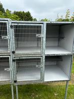 Hoender een katten verblijven, Dieren en Toebehoren, Ophalen of Verzenden