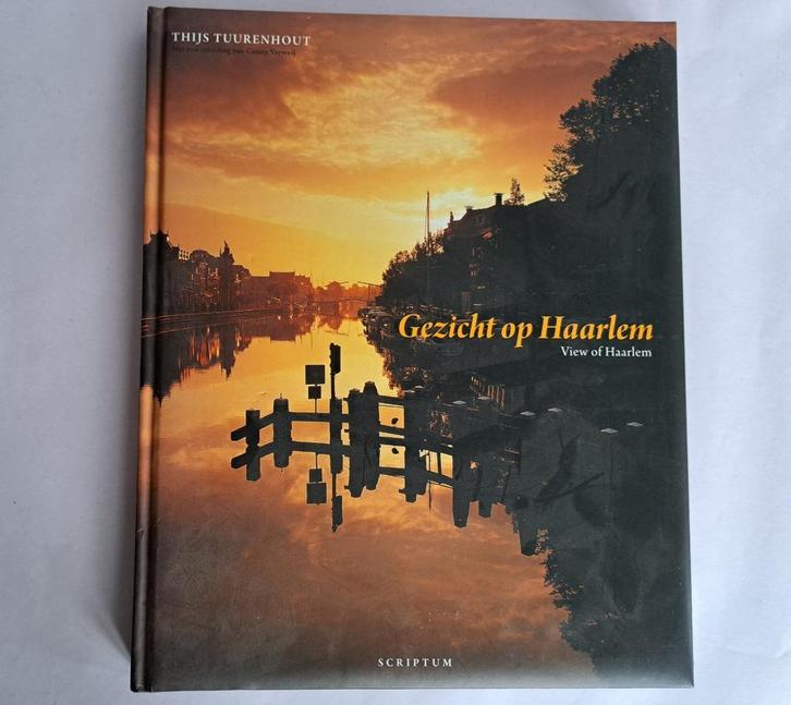 Gezicht op Haarlem - View of Haarlem, Boeken, Geschiedenis | Stad en Regio, Zo goed als nieuw, Ophalen of Verzenden