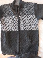 Heren vest warm, Ophalen of Verzenden