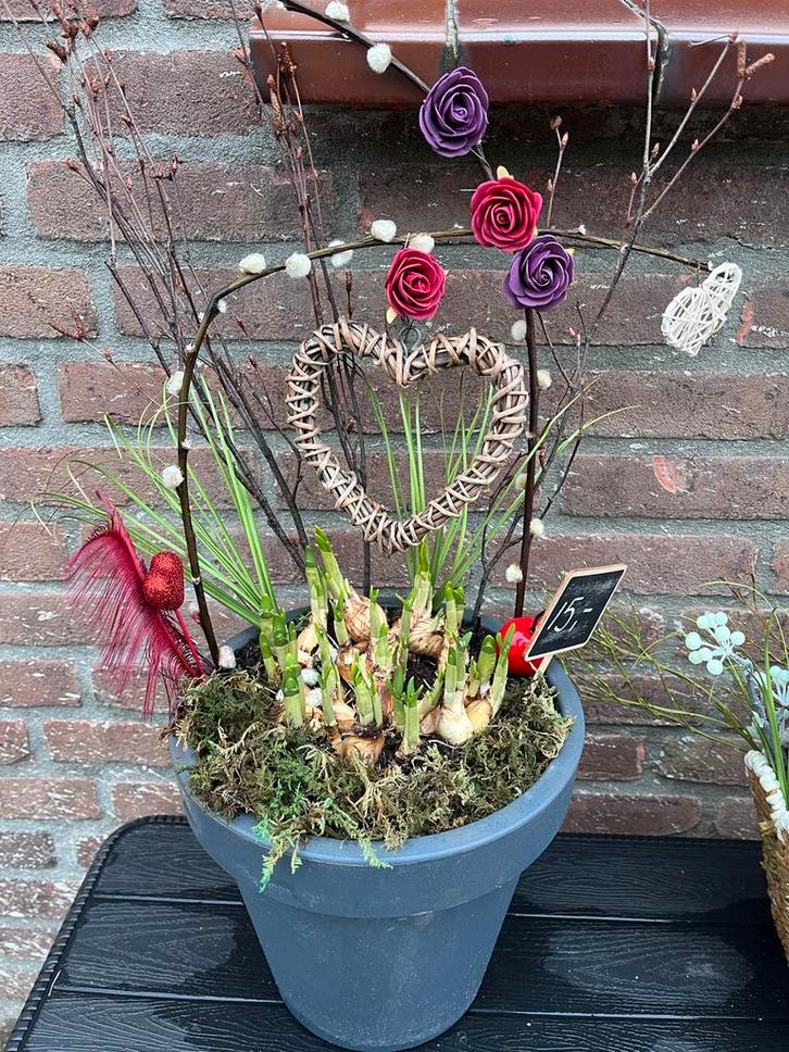 Valentijnsdecoratie met bloembollen en hart, Tuin en Terras, Bloempotten, Nieuw, Kunststof, Binnen, Minder dan 40 cm, Minder dan 25 cm