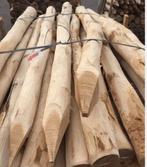 Robinia Palen Ø 8/10 x160 cm € 8,70 p.st, Tuin en Terras, Palen, Balken en Planken, Ophalen, Palen, Nieuw, Hardhout