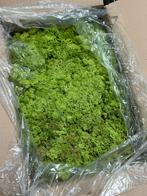 Rendiermos Groen 4KG voor moswand mospaneel of kunstwerk, Ophalen of Verzenden, Nieuw