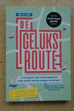 De geluksroute In 5 stappen Anne de Jong, Ophalen of Verzenden, Zo goed als nieuw, Anne de Jong