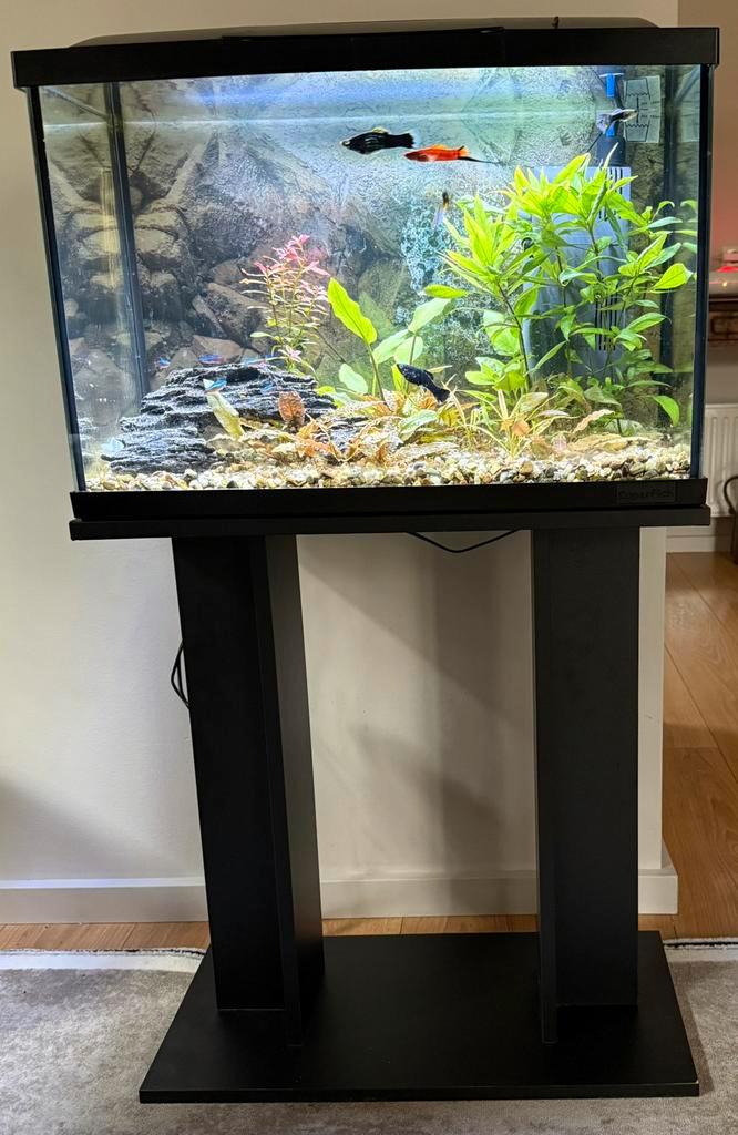 Aquarium te koop, Dieren en Toebehoren, Vissen | Aquaria en Toebehoren, Zo goed als nieuw, Gevuld zoetwateraquarium, Ophalen