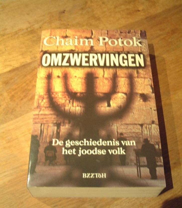boek Omzwervingen  Chaim Potok De Geschiedenis Joodse volk, Boeken, Geschiedenis | Wereld, Zo goed als nieuw, Overige gebieden