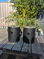 Cosi tafel gaslantaarn, Ophalen, Zo goed als nieuw, Rond, Minder dan 30 cm