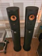 Prachtig mooie buisluidsprekers met Audax units, Overige merken, Ophalen of Verzenden, Zo goed als nieuw, Minder dan 60 watt