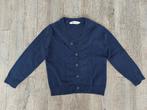 Vest maat 110/116 (H&M), Kinderen en Baby's, Kinderkleding | Maat 110, Trui of Vest, H&M, Ophalen of Verzenden, Zo goed als nieuw