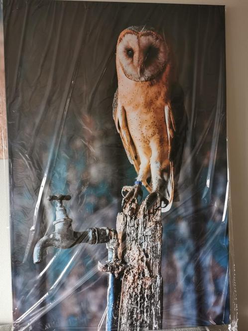 Groot Canvas Schilderij met uil op kraantje, 120 x 80 cm, Huis en Inrichting, Woonaccessoires | Schilderijen, Tekeningen en Foto's