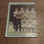 Panini Voetbal 81 nr 290, Verzamelen, Ophalen of Verzenden, Zo goed als nieuw, Poster, Plaatje of Sticker